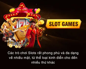 Chương trình VIP dagac3